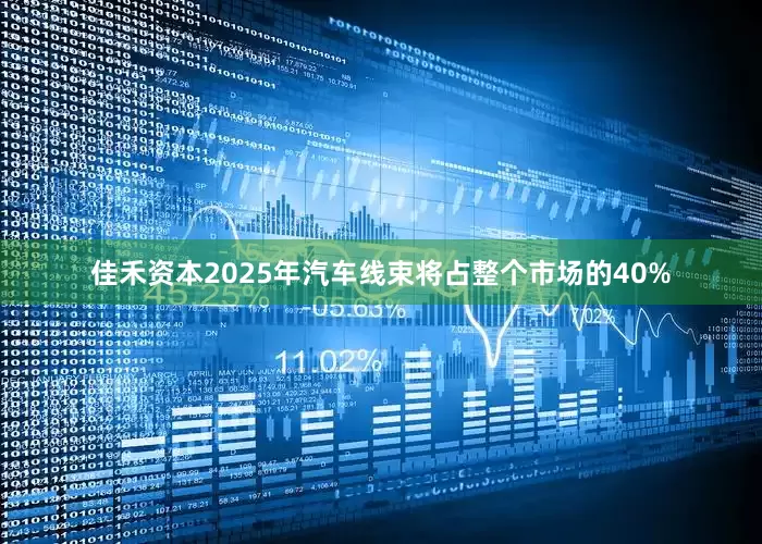 佳禾资本2025年汽车线束将占整个市场的40%