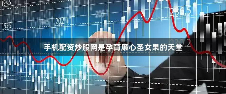 手机配资炒股网是孕育廉心圣女果的天堂