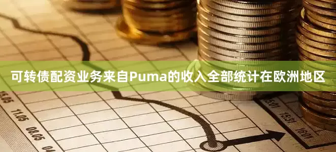 可转债配资业务来自Puma的收入全部统计在欧洲地区